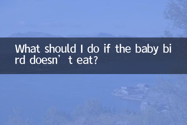 아기새가 밥을 먹지 않으면 어떻게 해야 하나요?