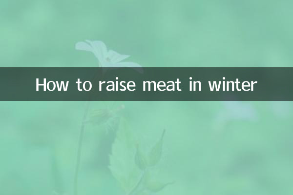 冬天怎么养肉肉