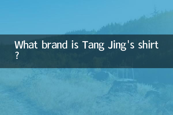 Tang Jing의 셔츠는 어느 브랜드인가요?