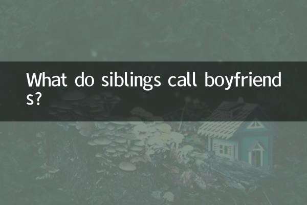 What do siblings call boyfriends?