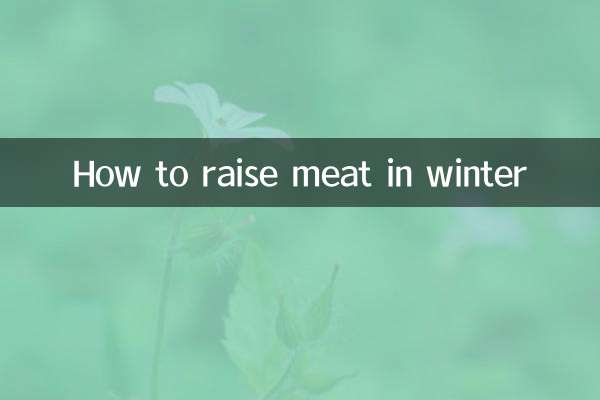 冬天怎么养肉肉