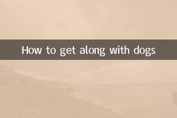 Cómo llevarse bien con los perros
