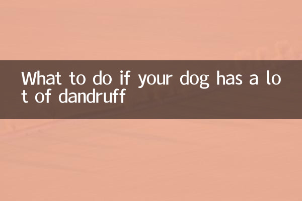 犬のフケが多い場合の対処法