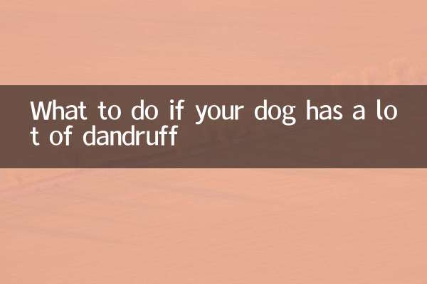 O que fazer se seu cachorro tiver muita caspa