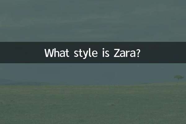 ザラってどんなスタイル？