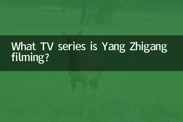 Quale serie TV sta girando Yang Zhigang?