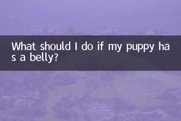 小狗啦肚子怎麼辦