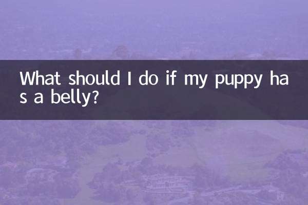 O que devo fazer se meu cachorro tiver barriga?