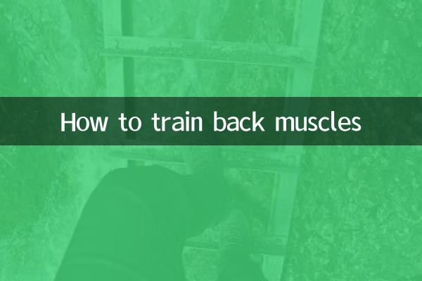 چگونه عضلات پشت را تمرین دهیم