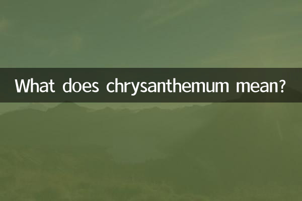 花菊有什么含义