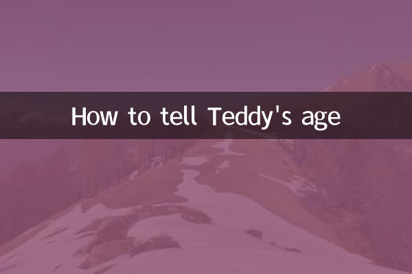Как узнать возраст Тедди