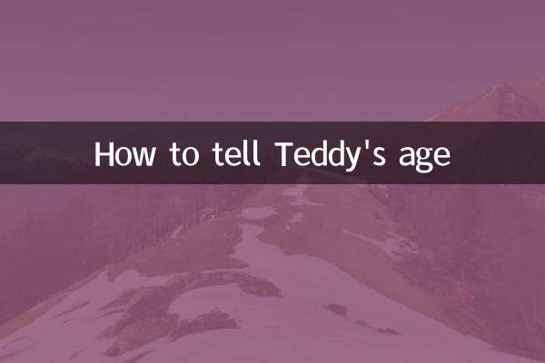 Как узнать возраст Тедди