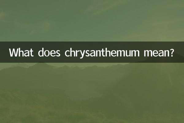 花菊有什么含义