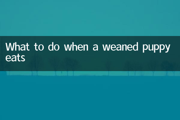 斷奶的小狗吃飯怎麼辦