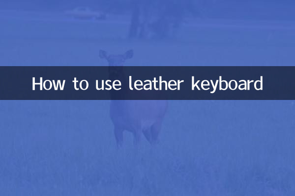 Comment utiliser le clavier en cuir