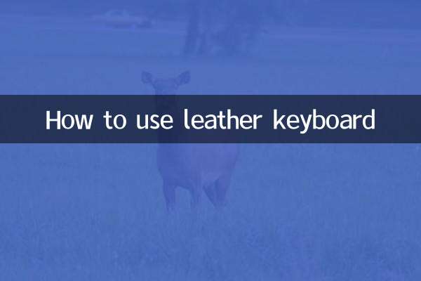 Comment utiliser le clavier en cuir