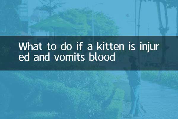 यदि बिल्ली का बच्चा घायल हो जाए और खून की उल्टी करे तो क्या करें?