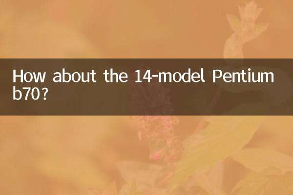 14モデルのPentium b70はどうでしょうか？
