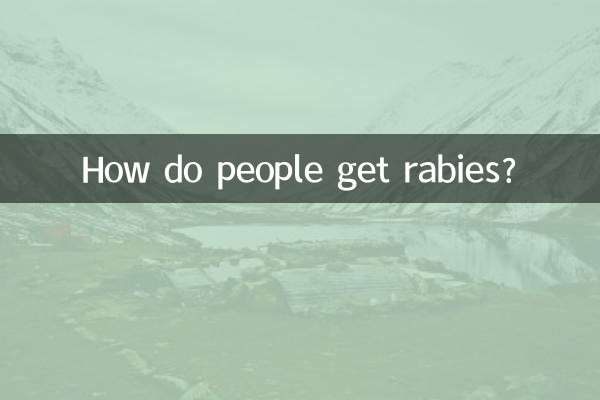 How do people get rabies?
