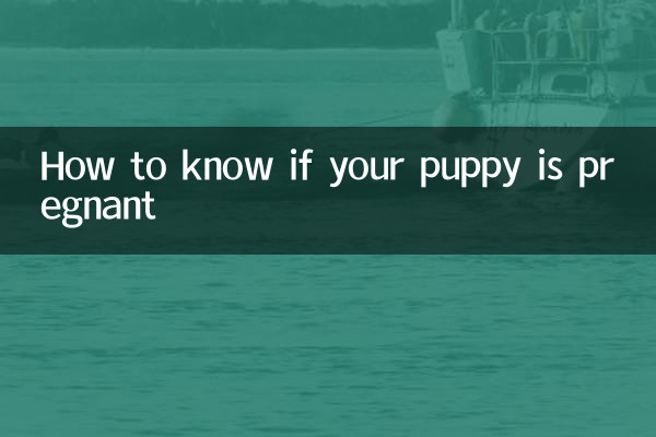 Come sapere se il tuo cucciolo è incinta