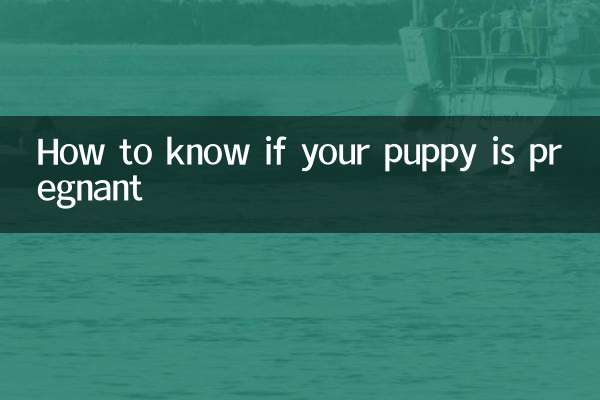 Come sapere se il tuo cucciolo è incinta