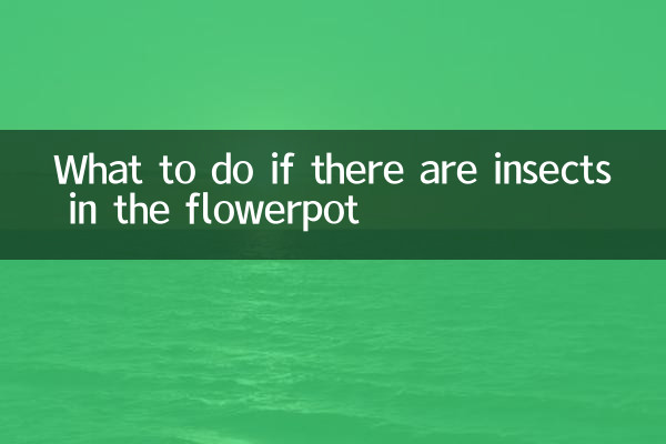 What to do if there are insects in the flowerpot