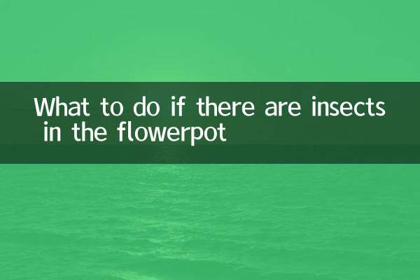 What to do if there are insects in the flowerpot