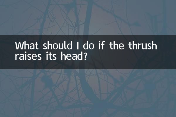 What should I do if the thrush raises its head?