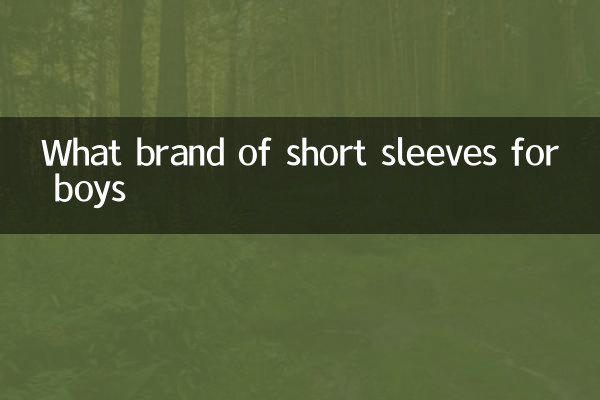 What brand of short sleeves for boys