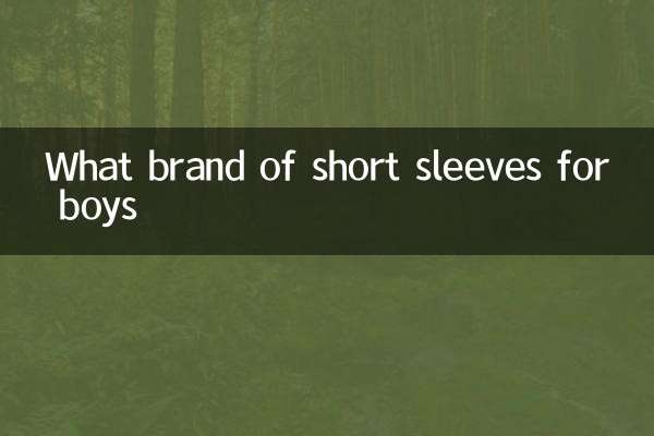 What brand of short sleeves for boys