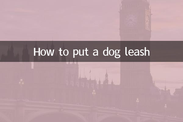 Como colocar uma trela de cachorro
