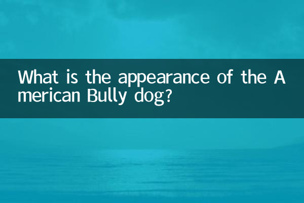 ¿Cuál es la apariencia del perro American Bully?