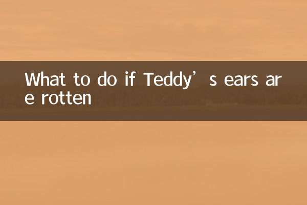 টেডির কান পচে গেলে কী করবেন