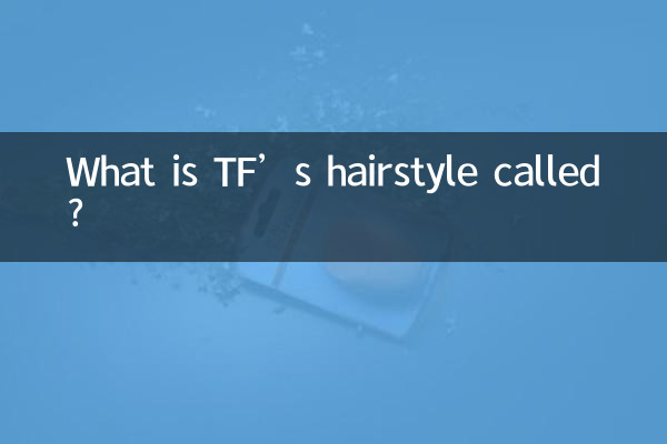 tf的发型叫什么
