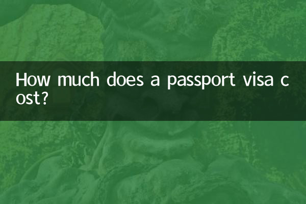 Quanto custa um visto de passaporte?