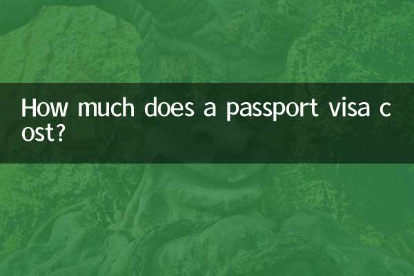 パスポートビザの費用はいくらですか?