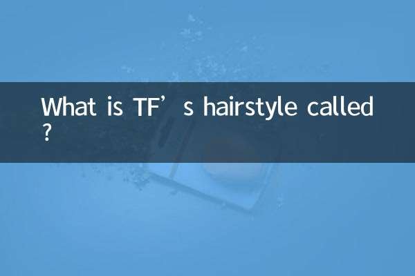 tf的发型叫什么