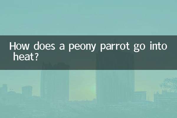 Comment un perroquet pivoine entre-t-il en chaleur ?