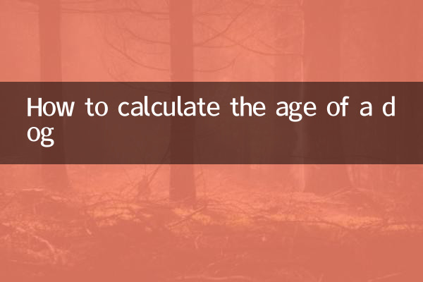 狗怎么计算年龄