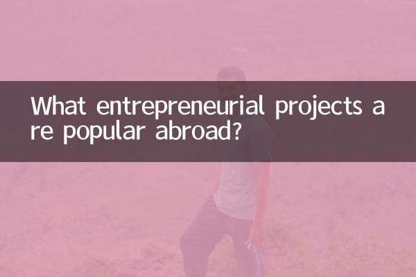 Welche unternehmerischen Projekte sind im Ausland beliebt?