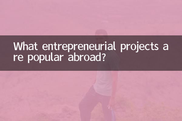 কোন উদ্যোক্তা প্রকল্প বিদেশে জনপ্রিয়?