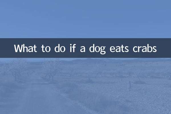 Qué hacer si un perro come cangrejos