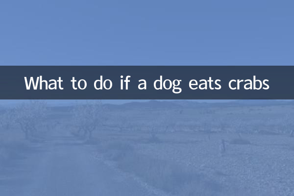 Qué hacer si un perro come cangrejos