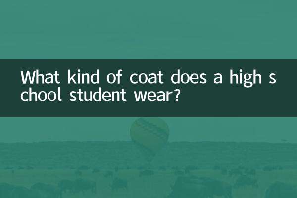 একটি উচ্চ বিদ্যালয় ছাত্র কি ধরনের কোট পরেন?