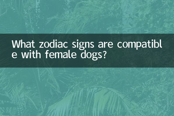 What zodiac signs are compatible with female dogs?
