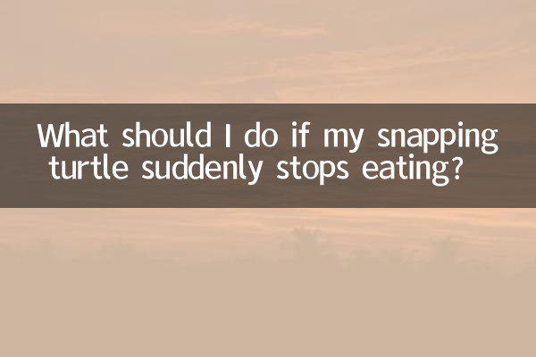 What should I do if my snapping turtle suddenly stops eating?