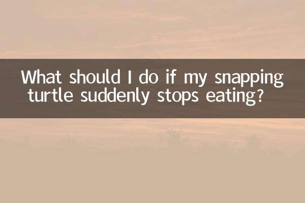 What should I do if my snapping turtle suddenly stops eating?