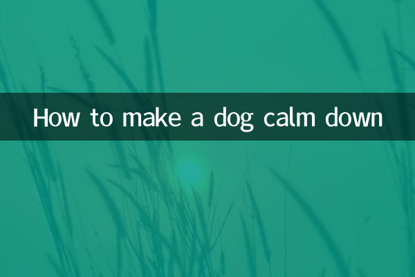 How to make a dog calm down