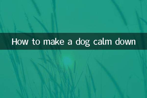How to make a dog calm down
