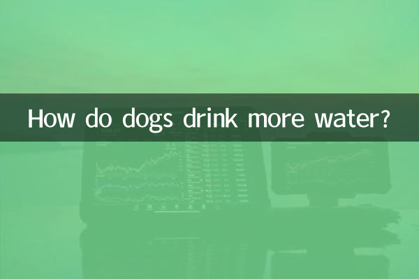 कुत्ते अधिक पानी कैसे पीते हैं?